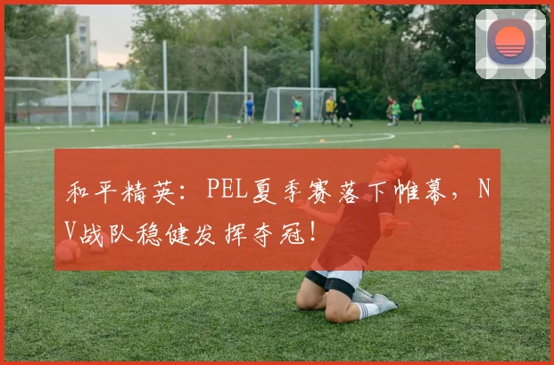 和平精英:PEL夏季赛落下帷幕,NV战队稳健发挥夺冠!